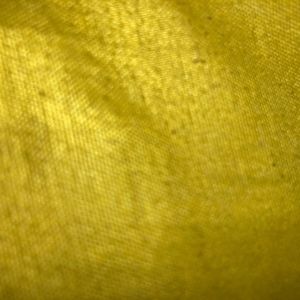 Meet your Posher, Collins